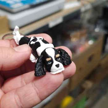 Cavalier tricolor - brelok do kluczy